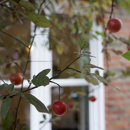 Beautiful London Home Sleeps 6, 2 Minutes To Metro Londres Exterior foto