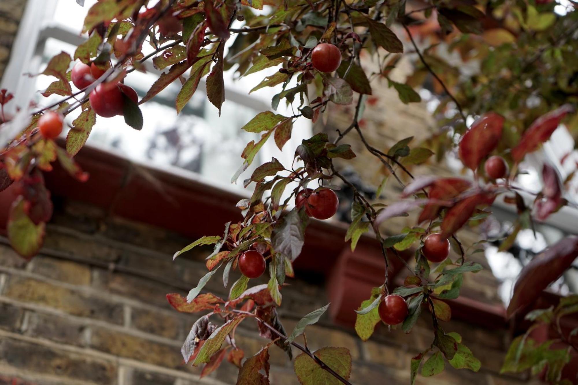 Beautiful London Home Sleeps 6, 2 Minutes To Metro Londres Exterior foto